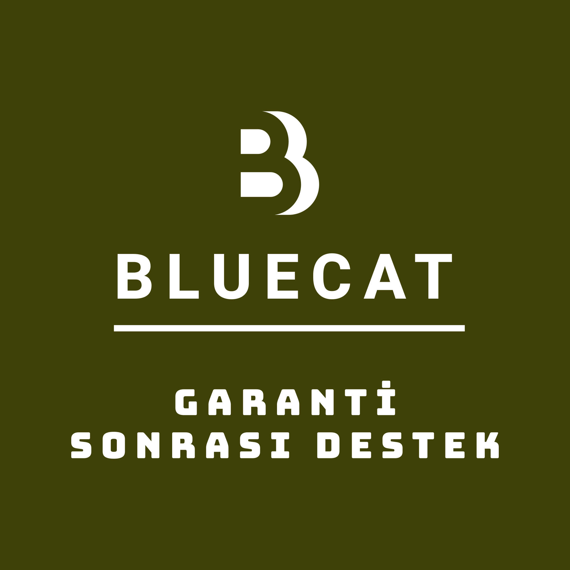 BlueCat Projeksiyon Servisi